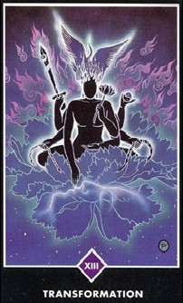 13. Transformation(변형)